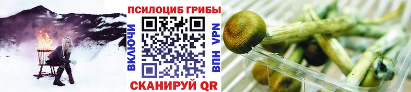 Галлюциногенные грибы MAGIC MUSHROOMS  Островной 